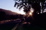 Van, Trees, Sunset, Mendocino County