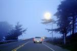 Foggy Highway, cars, street, dusk, fog, trees