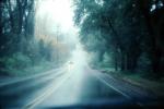 Road, Roadway, Highway, rain, inclement weather, rainy, trees