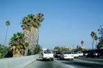 car, sedan, automobile, vehicle, level-D traffic, freeway, palm trees