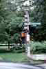 Traffic Signal Light, sign chaos, Washington DC, Freeway, Highway, Interstate, Road, VCRV18P07_07