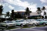 Parked Cars, Parking Lot, Chevy Impala, Oldsmobile, Ford, Chevrolet, Lakeland Florida, March 1960, 1960s, VCRV18P09_11