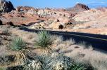 Yucca Plants, east of Las Vegas Nevada, Road, Roadway, Highway, Valley of Fire, VCRV18P11_08