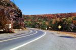 Curve in the Road, Roadway, Highway, autumn, fall colors, Cooperstown New York