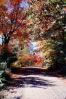 Dirt Road, unpaved, autumn trees, VCRV19P01_10