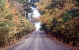 Highway, Road, Fall Colors, autumn, VCRV19P08_18