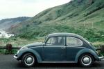 Volkswagen Bug, Beetle, automobile, PCH, near Fort Bragg, Mendocino County, VCRV19P09_14