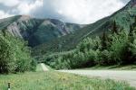 World Famous Alaska Highway, AlCan, Road, Roadway, Highway, forest, mountains