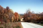 Dirt Road Portfolio, Roadway, Highway, Fall Colors, Autumn, Deciduous Trees, Woodland, unpaved, VCRV19P12_16