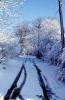 snow tracks, Road, Roadway, Street, Iowa, tire tracks, VCRV19P12_19