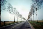 Road, Roadway, Highway, tree-lined, VCRV19P14_05