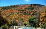 Road, Highway, Fall Colors, autumn, Vermont, USA, VCRV20P03_17