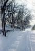 Snow, Cold, Ice, Frozen, Icy, Winter, Road, tree-lined highway, VCRV20P04_03