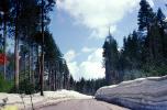 Road, Highway, Huntington Lake, High Sierra Nevada Mountains, California, June 1983, 1980s, VCRV20P04_04