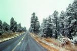 Road, Highway, trees, pine trees, snow, cold, Ice, Frozen, Icy, Winter, VCRV20P05_01