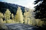 Road, Highway, Aspen Trees, VCRV20P05_03