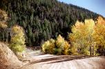 The Basin Road, Highway, dirt road, aspen trees, near Santa-Fe