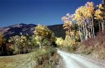 The Basin Road, Highway, dirt road, aspen trees, near Santa-Fe, VCRV20P05_07