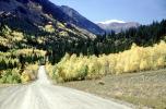 Dirt Road, Road, Highway, unpaved, aspen trees, autumn, fall colors