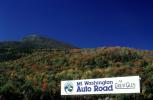 Mount Washington Auto Road, Great Glen, Highway, forest