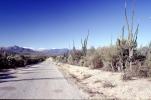 Desert Road, Highway, VCRV20P10_18