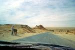 Barren Landscape, Road, Highway, Tizab, Algeria, 2007, VCRV20P12_01