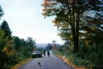 Car, Road, Nature, Trees, People, Stroll, March 1967, 1960s