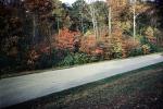 Fall Colors, Bare Trees, Road, 1953, autumn, 1950s, VCRV21P02_02