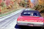 Beagle, 1964 Chevy Impala, Chevrolet Cabriolet, Convertible, Trunk, 1960s, VCRV21P02_07B