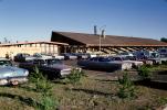 Parking Lot full of Cars, Bonneville, Buick, Cadillac, Ford, Chevy, Motor Lodge, building, Motel, June 1964, 1960s