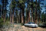 1953 Pontiac Star Chief, four-door sedan, hardtop, Car, trees, forest, 1957, 1950s, VCRV21P11_07