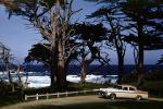 1956 Chrysler New Yorker, coast, coastline, Carmel, Monterey Peninsula, Cypress Trees, Pacific Ocean, California, 1950s, VCRV22P08_10