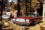1960 Chrysler Saratoga, 4-Door Sedan, forest, 1960s