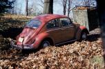 Volkswagen Bug, autumn leaves, car, 1960s