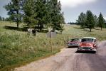 Oldsmobile, road, mules, trees, 1950s