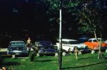 Parked Cars, Ford, Chevy, 1950s