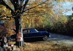 1950 Buick, 4-door Sedan, Roadside Picnic, Women, Trees, 1950s