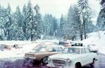 Snow Falling, Ice, Cold, Trees, Parking Lot, Cars, 1960s