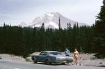 1966 Oldsmobile Dynamic 88, 1960s