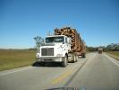 Logging Truck, VCTD01_061
