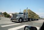 Hay Bales, Semi Truck, Peterbilt, VCTD02_242
