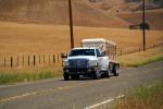 Ford Pickup Truck, Horse Trailer, Highway 25, VCTD03_091