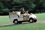 golf cart, VCTV01P03_15