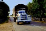 Dina Truck, Roadway, Highway, Quintana Roo, VCTV01P06_12.0568