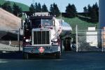 Peterbilt, Gasoline Tanker head-on, Fuel Truck, gas truck, Tanker Truck