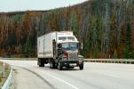 Kenworth, Semi-trailer truck, autumn, Semi, VCTV02P06_11
