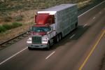 White Catt;e Truck, Interstate Highway I-40 looking west, Semi-trailer truck, Semi, VCTV02P08_14.0568