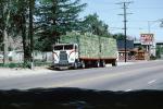 Freightliner, hay bales, Lone Pine, Owens Valley, the Trails Motel, stacks, cabover semi trailer truck, flat front, VCTV02P11_02
