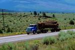 Freightliner Logging Truck, Trees, Highway, Shasta County, US Highway-97, VCTV02P15_11.0568