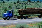 Freightliner Logging Truck, Trees, Highway, Shasta County, US Highway-97, VCTV02P15_12.0568